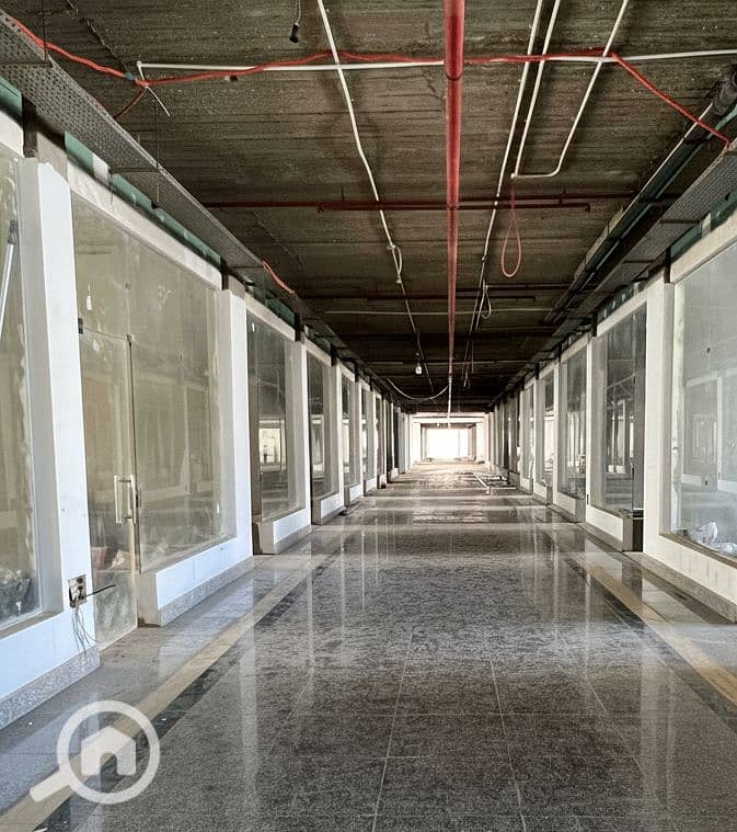 7 Generated Image September 15, 2025 - 2_26PM. png