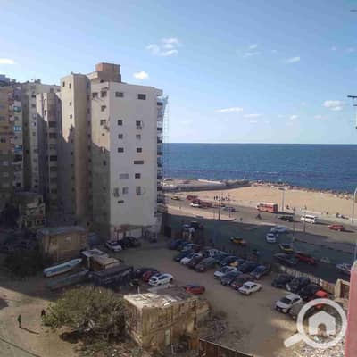 فلیٹ 2 غرفة نوم للايجار في ميامي، الإسكندرية - 1000201386. jpg