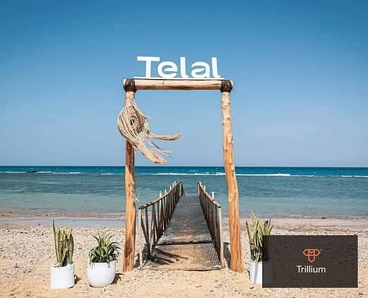 11 467816719_3461696940791019_6117311621871468254_n. jpg