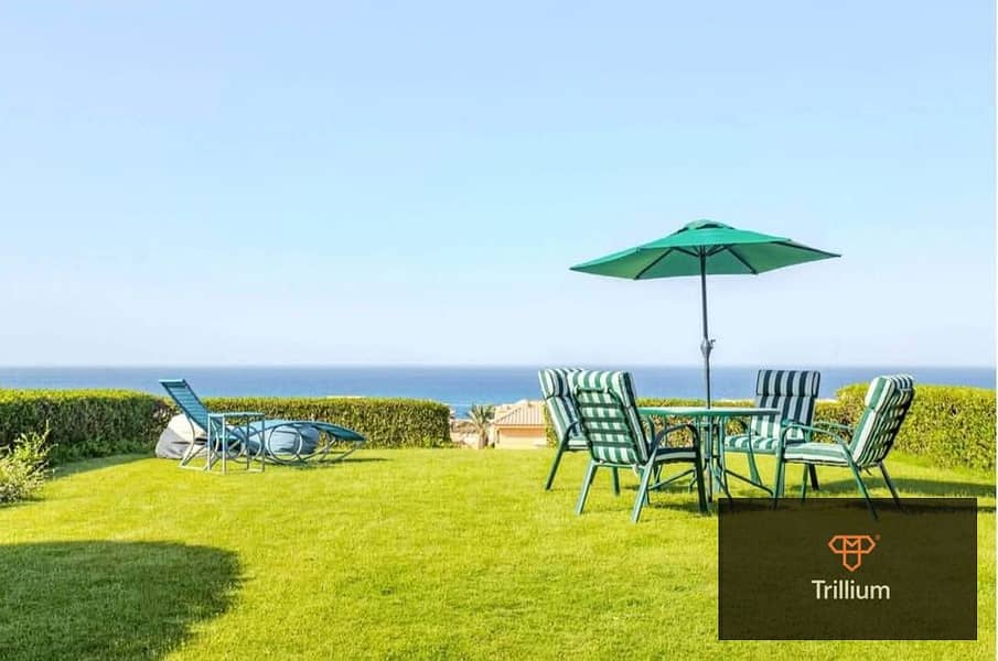 8 580812946_1534827284226882_6292662946242401627_n. jpg