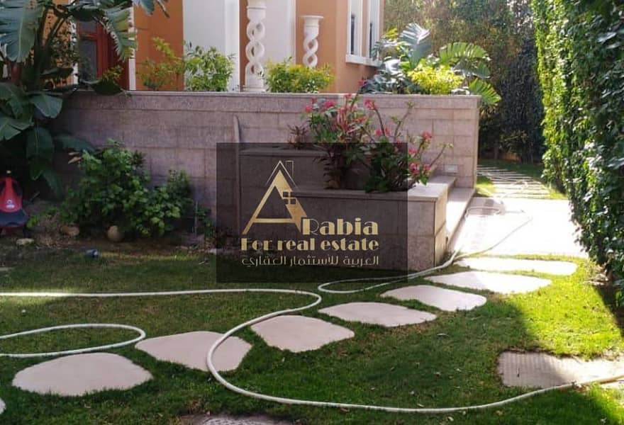 12 4fd18b13-c626-4841-9b99-adff39d0d618. jpg