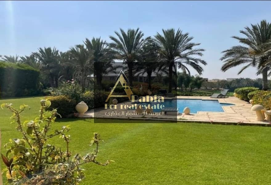 14 original (14). jpg