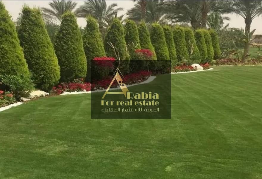 4 original (37). jpg