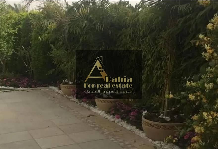 7 original (34). jpg