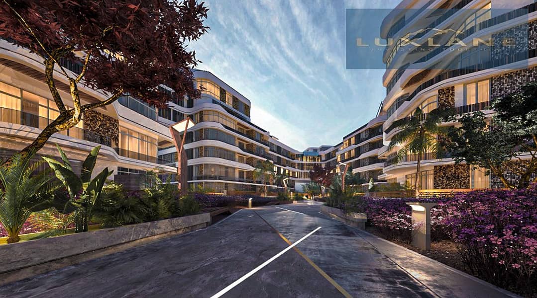 2 559de293920663.5e71444dc6d2d. jpg