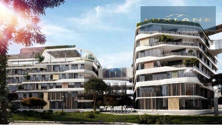 4 WhatsApp Image 2025-12-28 at 10.15. 35 AM. jpeg