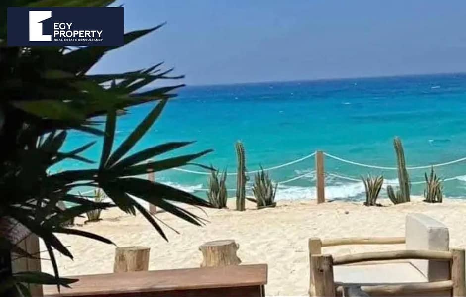 4 WhatsApp Image 2025-12-14 at 16.54. 33_96b0b73f. jpg