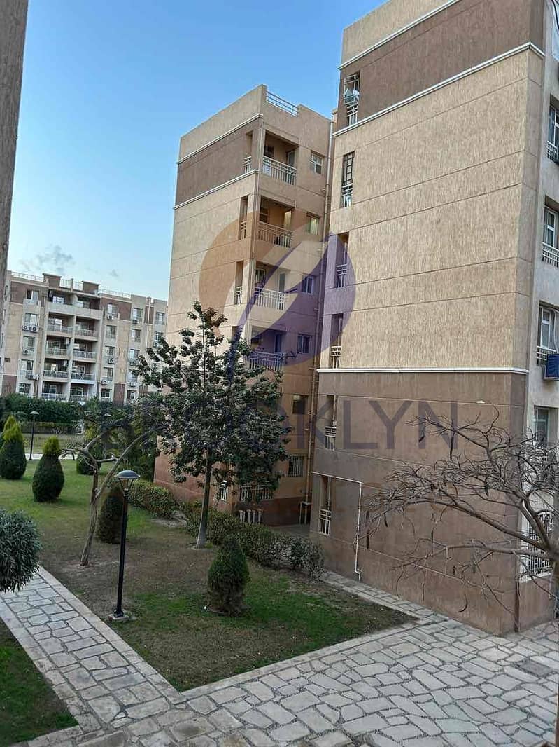 5 242bfb09-aa08-44ef-a797-0bf2957df306. jpg