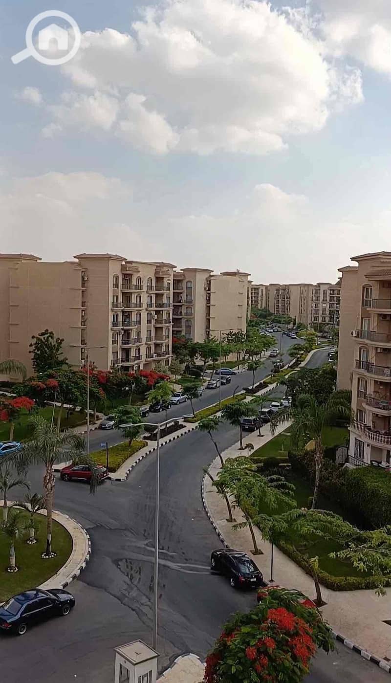 2 06780f33-f111-432b-8859-48334febf9f4. jpg