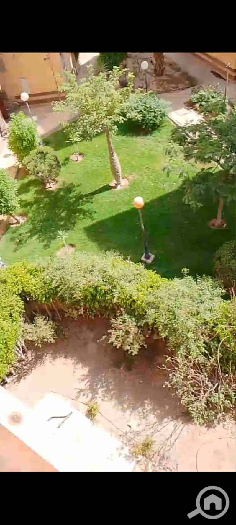 1000307769. jpg 1000307769. jpg