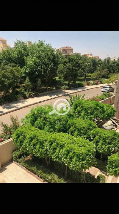 3 Bedroom Flat for Sale in Shorouk City, Cairo - The_trees_look_2k_202601091507. jpeg 3 Bedroom Flat for Sale in Shorouk City, Cairo - The_trees_look_2k_202601091507. jpeg
