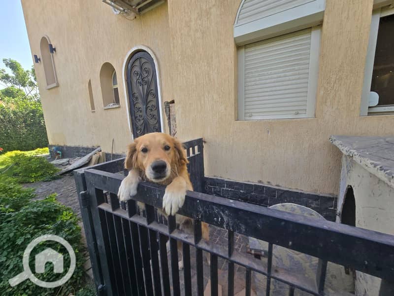 7 WhatsApp Image 2026-01-09 at 4.35. 06 PM. jpeg