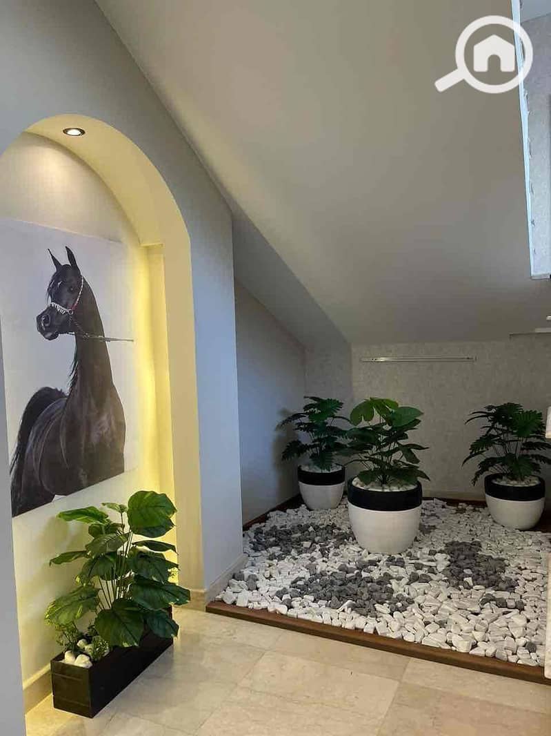 8 1032a3f7-4d67-42dd-98f4-8e8dc102ce9b. jpg