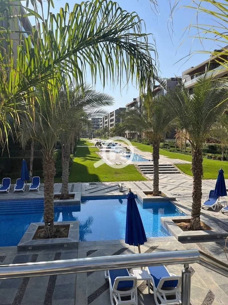 9 d8384f85-a064-4552-b900-20cf5977598c. jpg