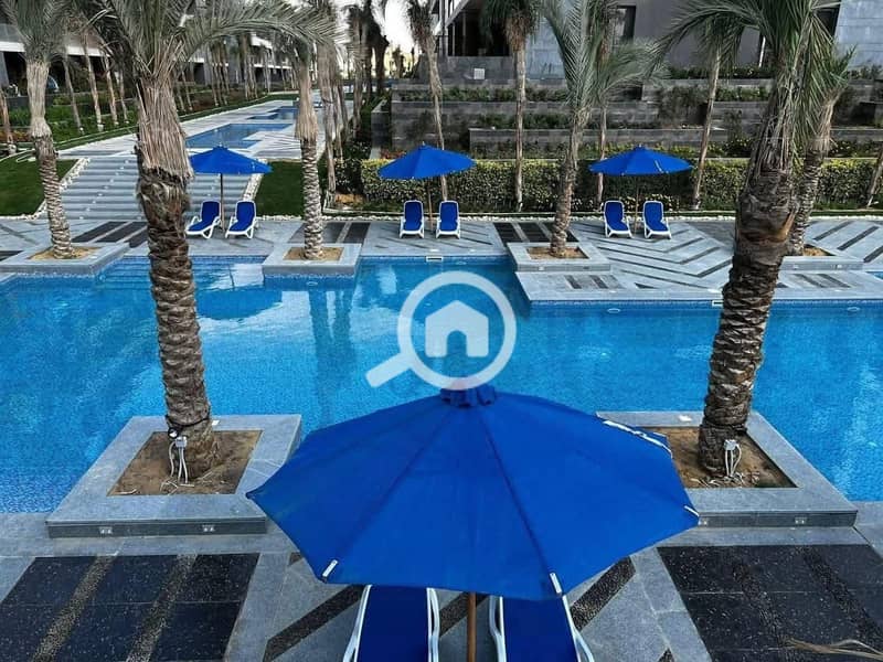 4 1389c89c-9681-43a3-8fc8-fe08d5e6fb98. jpg