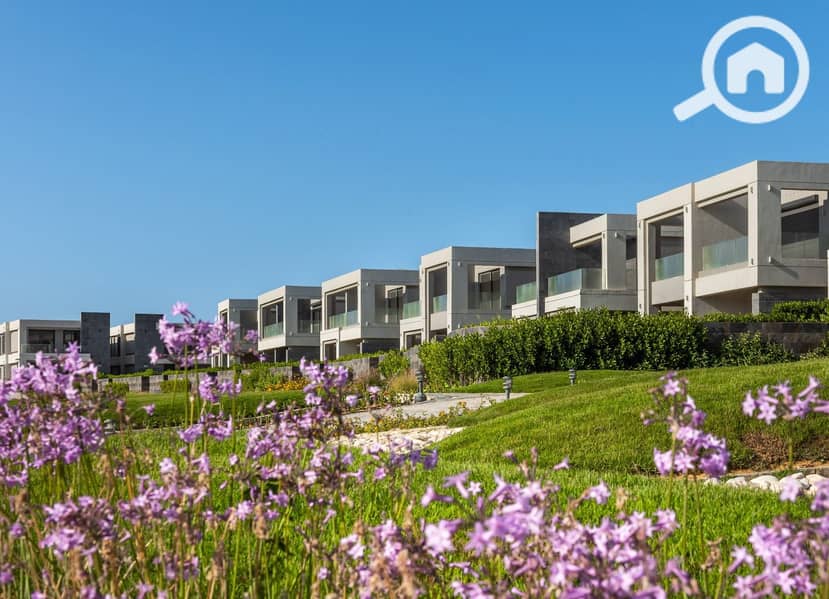 12 WhatsApp Image 2025-08-09 at 10.56. 51 AM (3). jpeg