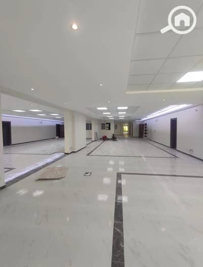 Office for Rent in Maadi, Cairo - WhatsApp Image 2025-12-27 at 6.56. 20 PM (3). jpeg