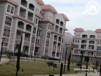 3 Bedroom Apartment for Rent in New Cairo, Cairo - 11299. jpg