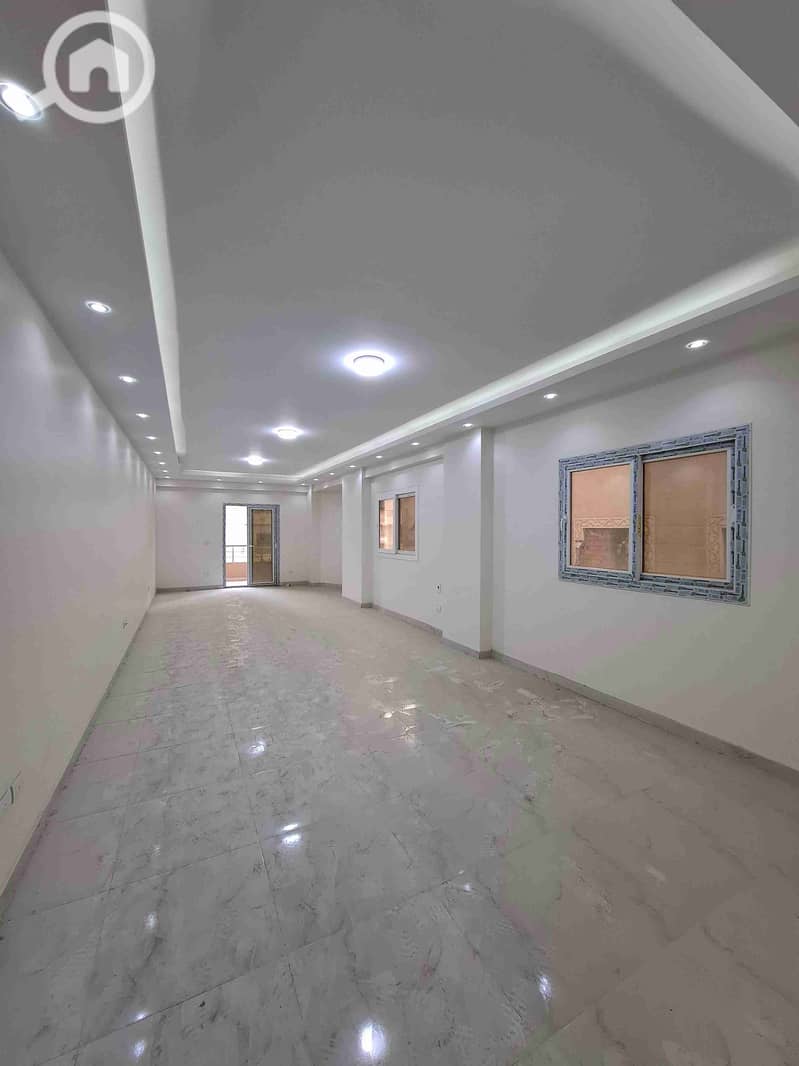 1000539533. jpg 1000539533. jpg