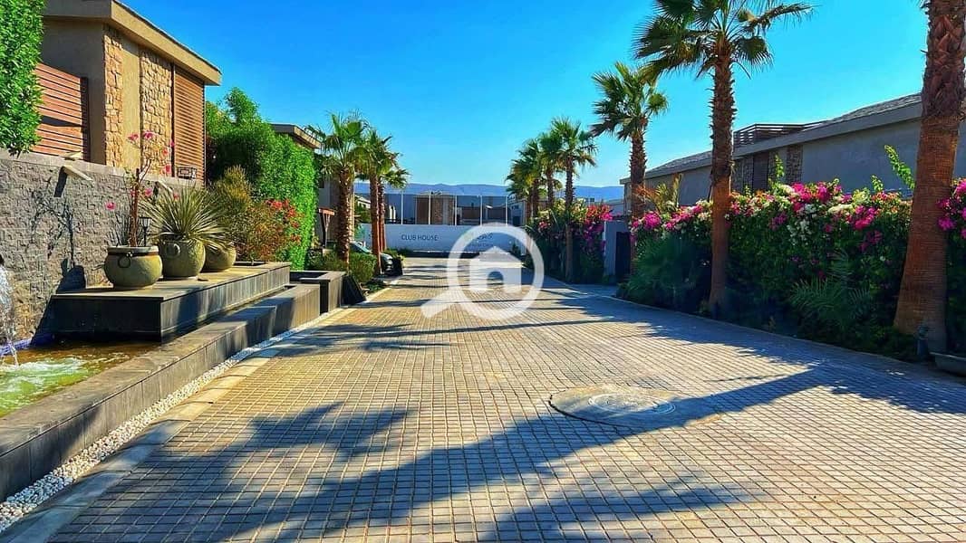 3 9c48d761-3674-402d-a002-de6fe971733b. jpg