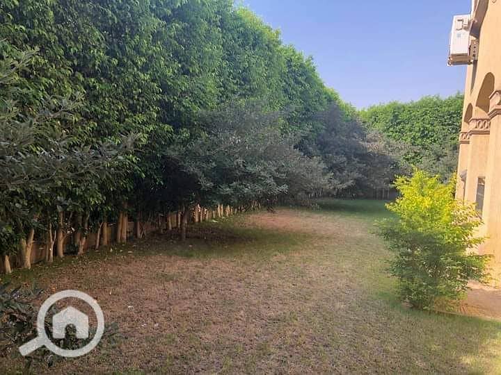 6 FB_IMG_1604771232807. jpg