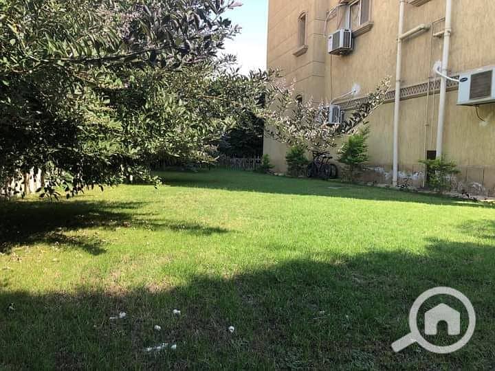 7 FB_IMG_1604771237349. jpg