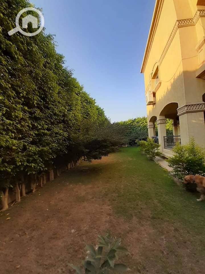 10 FB_IMG_1604771246488. jpg