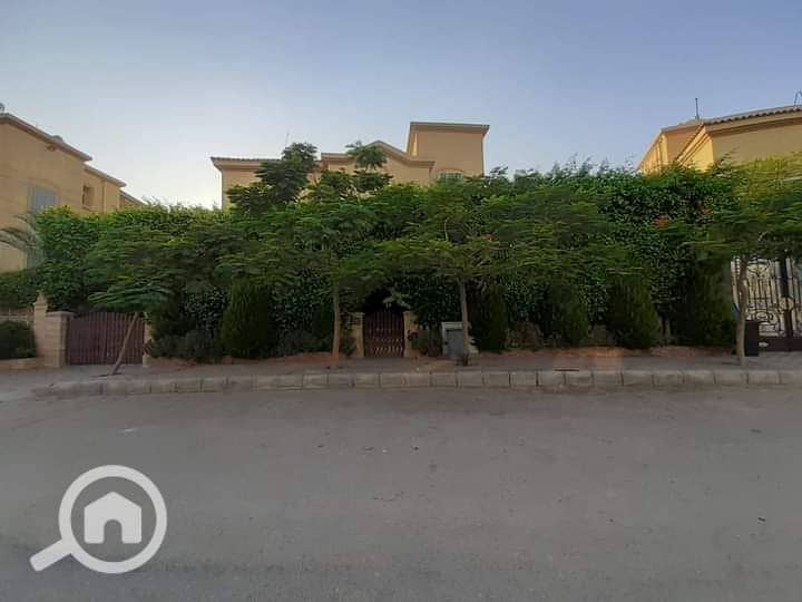 11 FB_IMG_1604771248248. jpg