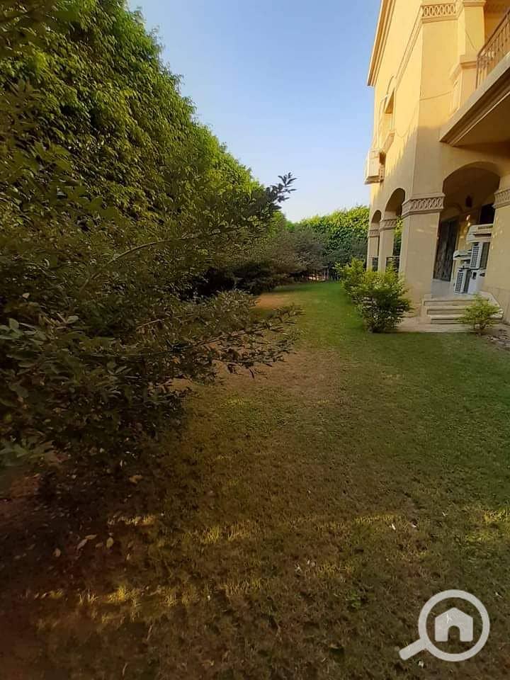 12 FB_IMG_1604771250177. jpg