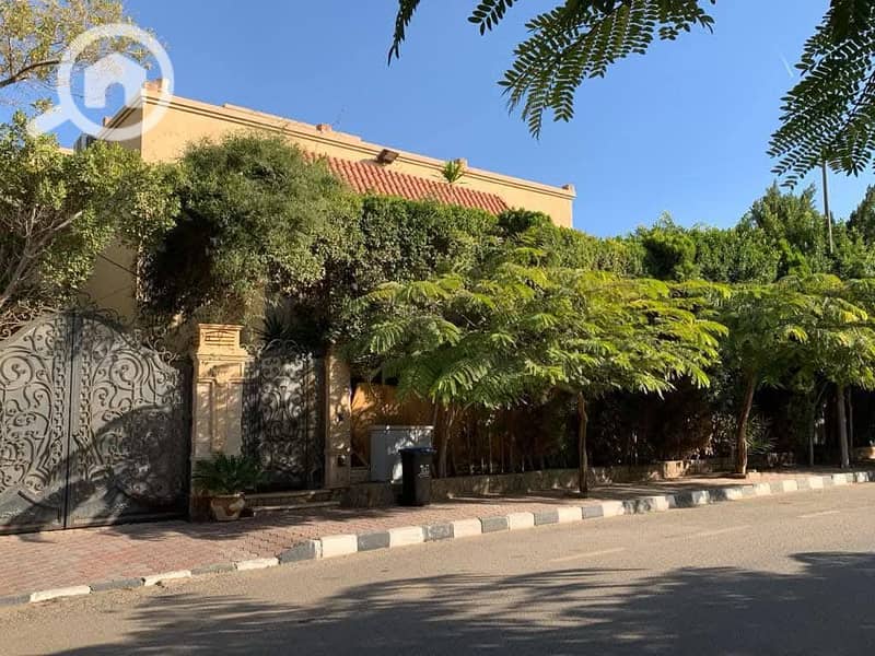 2 592381579_122223970082057873_1942286579540869524_n. jpg