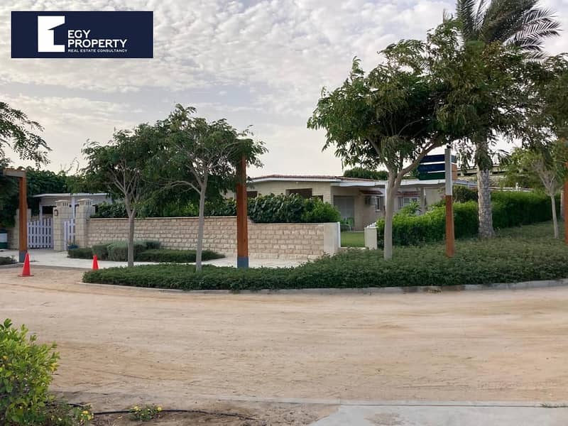 5 WhatsApp Image 2026-01-09 at 3.24. 25 AM. jpeg