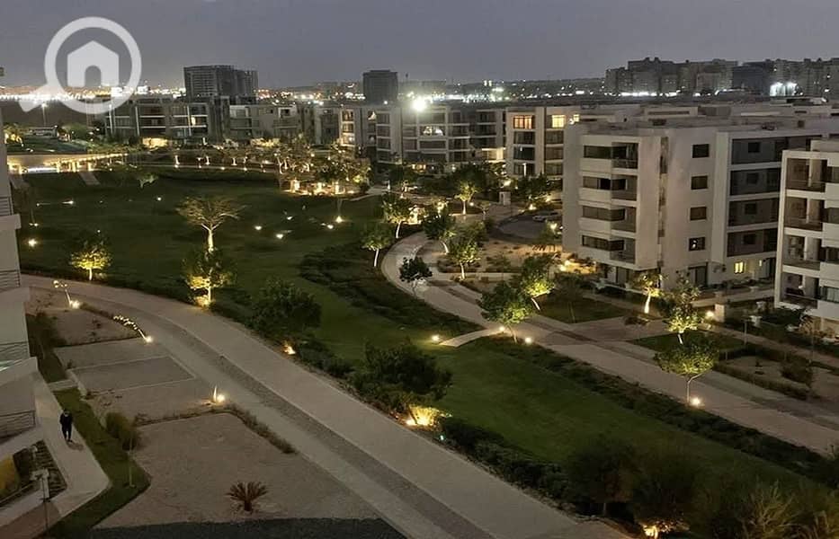 3 d01e3703-26b3-477d-9893-6e1dc70ec439. jpg