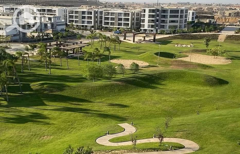 11 d562d283-0f76-45e0-9848-43de082bd1c1. jpg