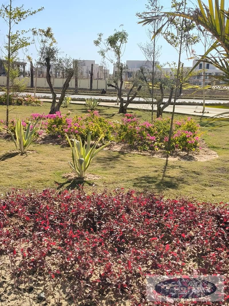 5 WhatsApp Image 2025-12-24 at 21.44. 24. jpeg