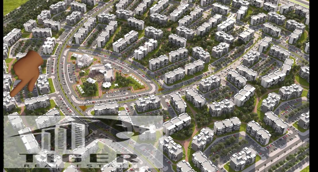 6 WhatsApp Image 2025-10-16 at 7.25. 54 PM (2). jpeg