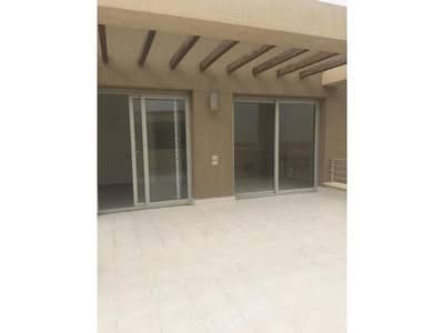 بنتهاوس 3 غرف نوم للايجار في القاهرة الجديدة، القاهرة - d39015ec-0aaa-43d3-85c7-81a56103fd28. jpg