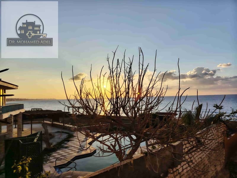 14 IMG_20251118_163816. jpg