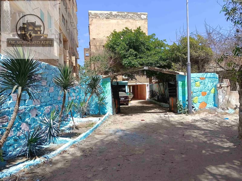 45 IMG_٢٠٢٤٠٥٠٩_١١١٤٤٧. jpg