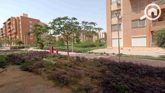 3 Bedroom Apartment for Sale in Shorouk City, Cairo - IMG-20260109-WA0036. jpg 3 Bedroom Apartment for Sale in Shorouk City, Cairo - IMG-20260109-WA0036. jpg