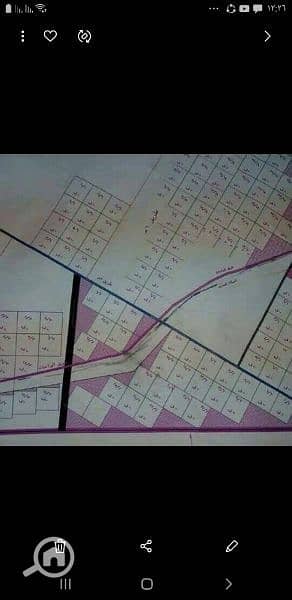 زراعي  للبيع في 6 أكتوبر، الجيزة - مزرعة 200فدان مسجله للبيع فى طريق الواحات اكتوبر
