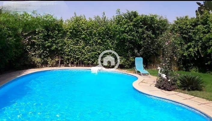 12 eac69414-7c15-4ba3-81ad-2b26f4d8dc53. jpg