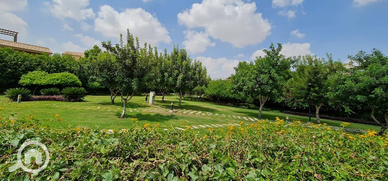 9 b31e2c5f-a93b-4cd0-a822-7fb28b5b0a62. jpg