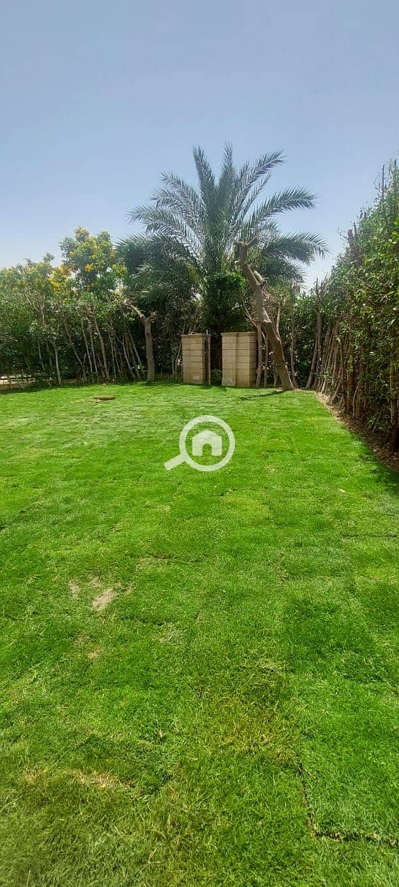 2 1ae57186-d729-4152-84db-f51b60a2e771 (1). jpg