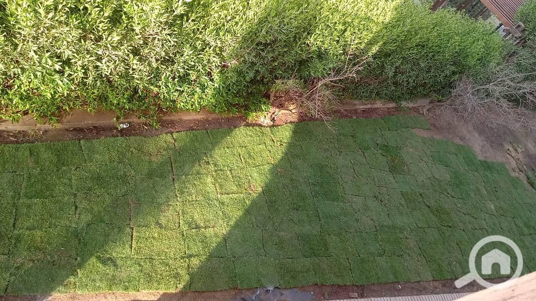 6 c17cfac5-3060-499a-971e-c9475ae118ce. jpeg