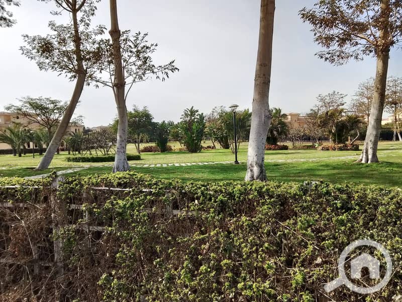 5 32cc7a64-15c5-4b8c-b907-c921ff3381ec. jpeg