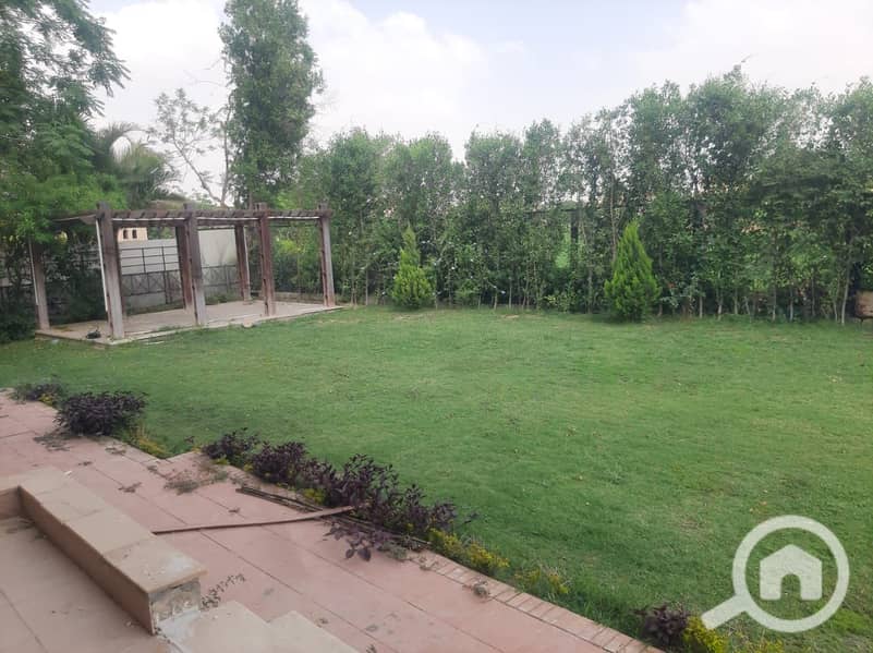 10 5363ae43-f6cb-4f39-8ce4-ce03df1172f3. jpeg