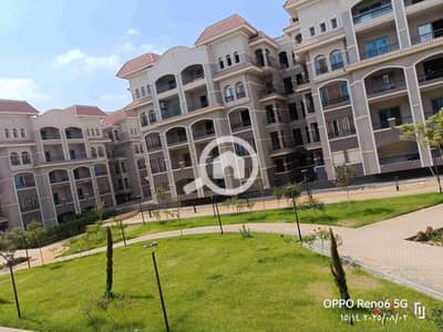 3 Bedroom Apartment for Rent in New Cairo, Cairo - 1000076494. jpg