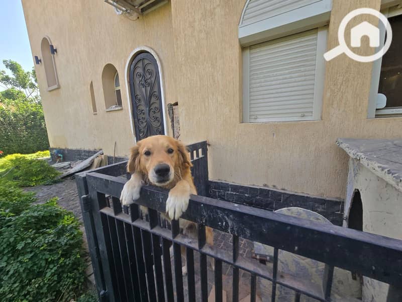 12 c74c398c-cf8d-44bb-bdfe-cb29f426eca8. jpg