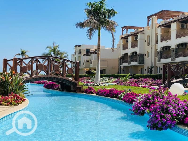 16 487551189_10235653155726377_5685232742792752248_n. jpg