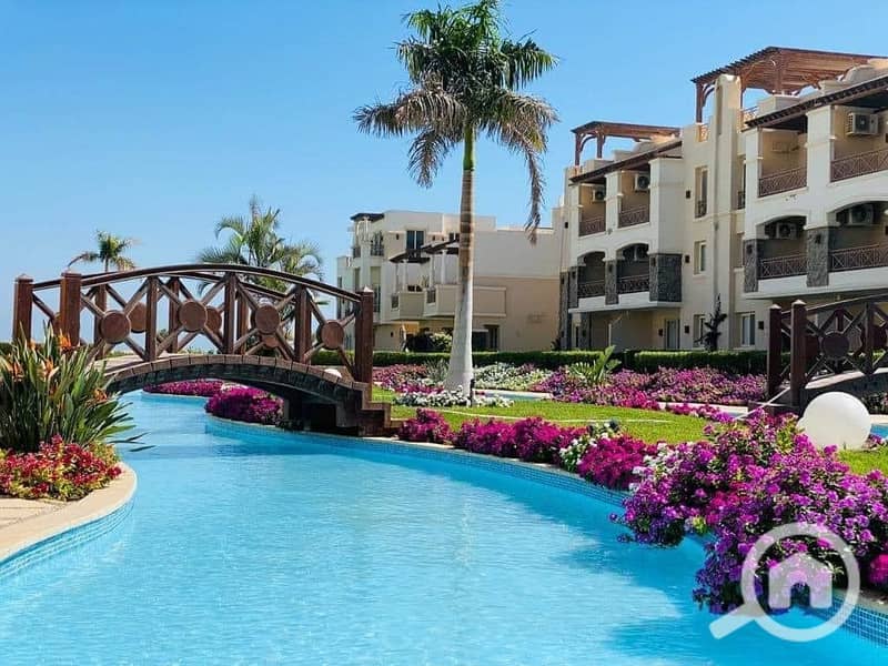 22 493118872_9773749472682472_6095719207338856129_n. jpg